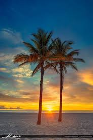See more ideas about palm trees, palm, beautiful beaches. Two Coconut Palm Tree Sunrise At Beach Beautiful Landscapes Beautiful Nature Scenery