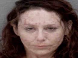 Woman Arrested For Assault On St. Albans Lane: Davidson Police