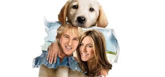 While the puppy marley grows into a 100 pound dog, he loses none of his puppy energy or ram. Marley Me Streaming Where To Watch Movie Online