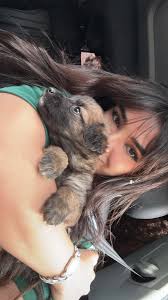 Alanita ₊˚⊹♡ (@alanafloresf)  X