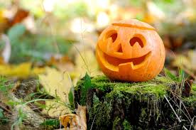 Biegi Filmy Zabawy Koncerty Bezpieczne Imprezy Z Okazji Swieta Halloween