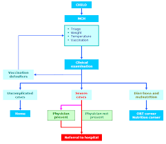 Who Emro Organization Of The Work At The Health Facility