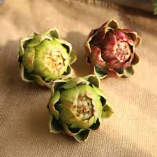 See more ideas about artichoke, artichoke recipes, food. Beli Artichoke Pada Harga Terendah Lazada Com My