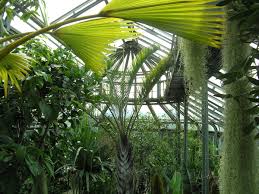 The staff will answer your questions and give you recommendations. Haus F Berlin Dahlem Structurae