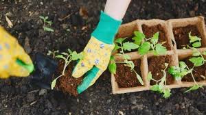 Check spelling or type a new query. Jelaskan Kembali Isi Lagu Menanam Jagung Soal Dan Jawaban Sd Kelas 4 6 Tvri Senin 13 Juli 2020 Halaman 2 Surya