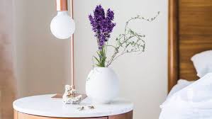 The 7 best plants to have in your bedroom to help you sleep better. Best Plants To Keep In Your Bedroom For A Good Night S Sleep