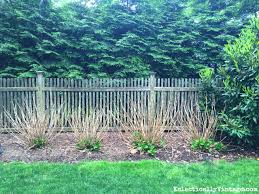 Maybe you would like to learn more about one of these? Winter Kill Hydrangeas Care