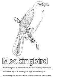 Florida Mockingbird Coloring Sheet Bird Coloring Pages State Birds Coloring Pages