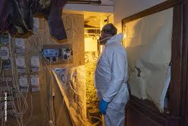 Police said they suspected the burglar was a member of the albanian mafia. More Than 60 Arrested In Series Of Police Actions Against Albanian Mafia Europol