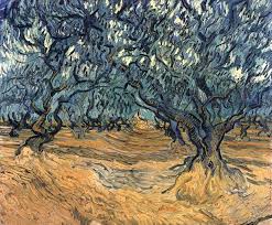 Intercepted By Gravitation Vincent Van Gogh Olive Groves 1889 Van Gogh Olive Trees Van Gogh Art Vincent Van Gogh Paintings