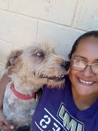 Perros Extraviados El Salvador