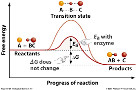 Catalyst Speeds Up A Chemical Reaction By Lowering The Activation Energy Ea Of The Overall Reaction Chemistry Education Teaching Chemistry Energy Activities