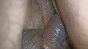 Hamster Sex Stories Porn Videos | xHamster