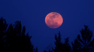 A rare super blue blood moon was seen all over the globe. Blood Moon 2018 Century S Longest Total Lunar Eclipse To Be Seen On 27 28 July Technology News Firstpost