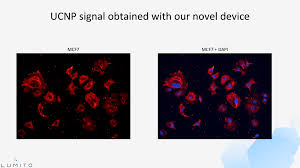 Click to view ngm:lumito's stockreport. Lumito