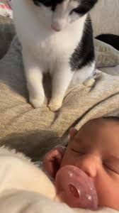 Studio Prof. Sadeghi