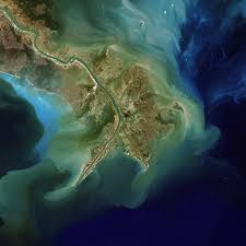 Gulf of Mexico 'dead zone ...