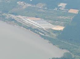 Kelapa gading cocos nucifera 8. Ladang Kelapa Sawit Dalam Gambar Ekolss Blog