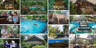 Rute dimulai dari kota jember langsung saja mengarah ke sumber baru. Eloknya 40 Tempat Wisata Di Kota Bukit Jember Jawa Timur Trip Jalan Jalan