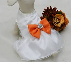 Reception flowers | blue moon florist. Pale Orange Dog Dress Dog Birthday Gift Orange Pet Wedding Accessory Rhinestone Fall Wedding Orange Wedding Flower Girl Dress La Dog Store
