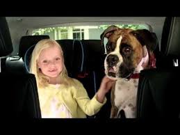 From A New Puppy To The Long Time Family Dog Most Americans Can Relate To The Love Of A Four Legged Friend So It S N Boxer Dogs Boxer Love Animals Friends