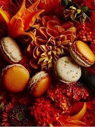 date palm fruits exotiques dattes legume exotique