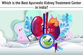 Dr Puneet Dhawan Ayurvedic Nephrologist Which Is The Best Ayurvedic Kidney Treatment Center In India Led by dr puneet dhawan, karma ayurveda has liberated thousands of patient. dr puneet dhawan ayurvedic nephrologist blogger