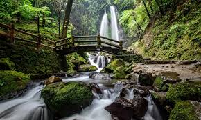 Check spelling or type a new query. 16 Tempat Wisata Di Kebumen Terbaru Lagi Hits Dikunjungi Itrip