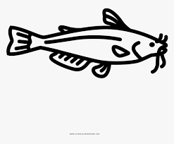 See more ideas about coloring pages, coloring books, adult coloring pages. Catfish Coloring Page Hd Png Download Transparent Png Image Pngitem