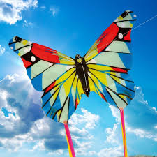 Image result for kite images