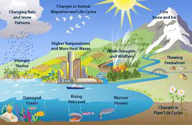 Global warming, the phenomenon of rising average air temperatures near earth's surface over the past 100 to 200 years. Big B On Twitter Effects Of Global Warming Climate Change Effects What Is Climate