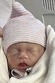 Hallee Williams Obituary