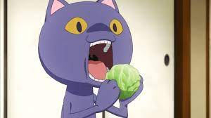 Cat Sensei In Planet With