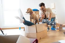 Your pet is handled with utmost care. Pet Moving In Gulf Countries Innovated Movers