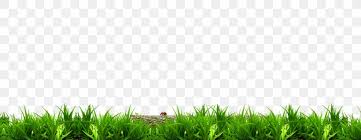 Collection by madhusoodan • last updated 8 weeks ago. Lawn Desktop Wallpaper High Definition Television Green Wallpaper Png 1920x746px 4k Resolution Lawn Field Grass Grass
