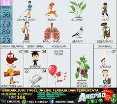 Kode alam anjing paling akurat 2d 3d 4d erek erek, dengan begitu maka kode ini akan tembus dan nah dibawah ini akan kalian dapatkan kumpulan kode alam anjing yang jarang sekali meleset. 20 Ide Gambar Gambar Buku Gambar Buku