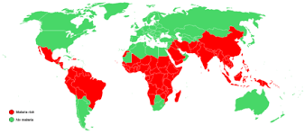Jestliže se jedná o plasmodium vivax či plasmodium ovale. Malarie Wikiwand