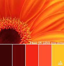 Red orange brown color palette. Blog Akula Kreative Orange Color Palettes Red Colour Palette Fall Color Palette