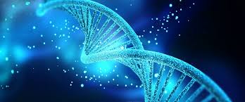 Átomos, estrellas,
genes,huesos,gases.