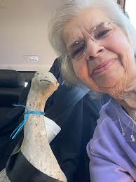 Finding Comfort in Dressing Up Porch Geese