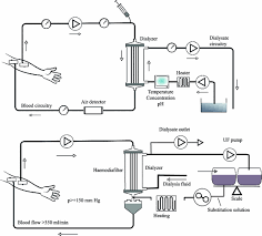 We did not find results for: Inspection And Testing Of Dialysis Machines Springerlink