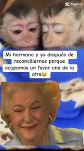 Mi Hermana Y Yo Intentando Reconciliarnos