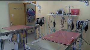 Pet allergy relief, flea & tick, heartworm, diet & nutrition New Animal Hospital In Lancaster County Helps Low Income Families Take Care Of Pets Fox43 Com