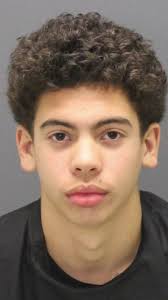 Cops: Latest teen, Dakota Collins, arrested in Parkland murder believed to  be trigger man
