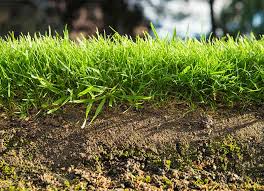 Treat larger broadleaf weed patches. Lawn Care Tips For Beginners