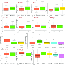 Самые новые твиты от telsearch (@searchtel): Integrative Mirna Mrna Functional Analysis Identifies Mir 182 As A Potential Prognostic Biomarker In Breast Cancer Molecular Omics Rsc Publishing Doi 10 1039 D0mo00160k