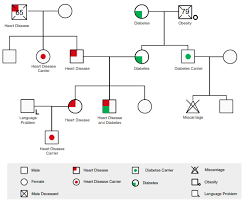 Creating a genogram is easy, you don't need any special tools, you can even draw them by hand by simply following the rules and symbols found in the related pages. How To Make A Genogram Online Edrawmax Online