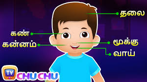 Prepare flashcards of the parts of the body used in the song. à®à®¨ à®¤ à®š à®© à®© à®µ à®°à®² à®•à®³ Parts Of The Body Actions Song Tamil Rhymes For Children By Chuchu Tv Youtube