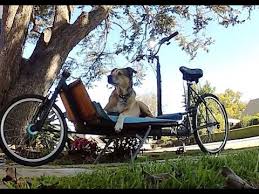 New leaf marks the debut of another classic nintendo franchise on a new handheld. Cute Alert Here Are The Top 15 Animals On Bikes Videos Ever