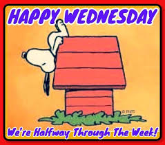 Instagram photo by Patty Mattson • May 24, 2023 at 9:51 AM